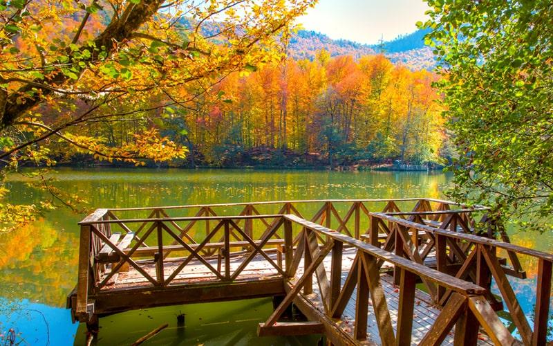 Hızlı Trenle Sapanca Ormanya Maşukiye Yedigöller